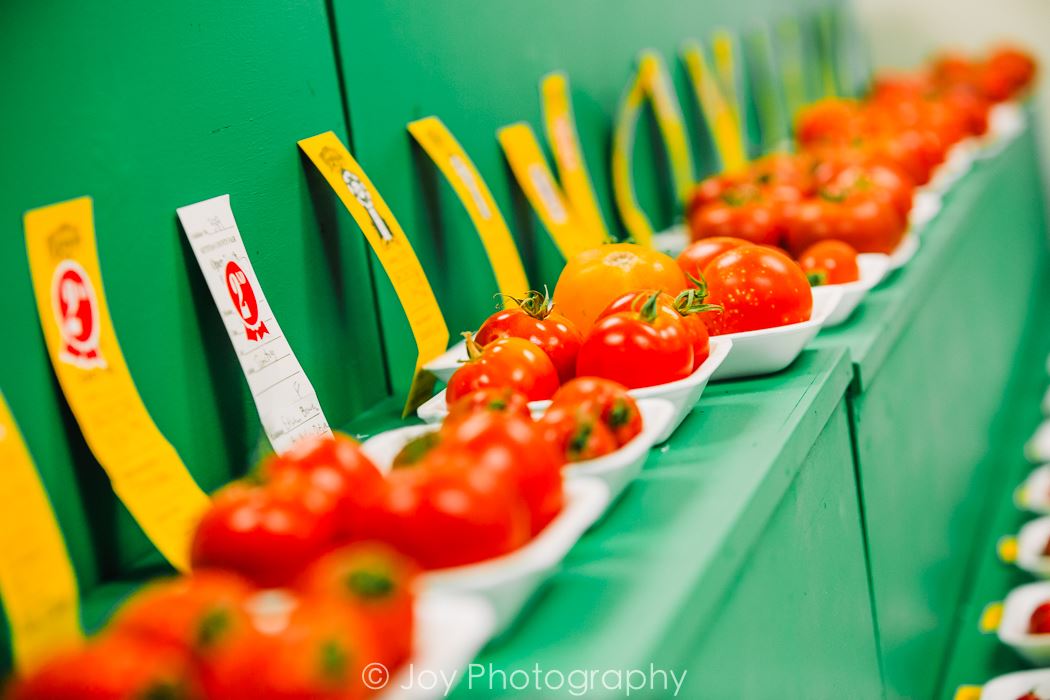 Open Vegetables