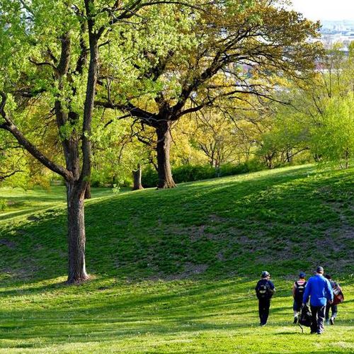 Disc Golf Courses in Kansas City & Smithville, Missouri