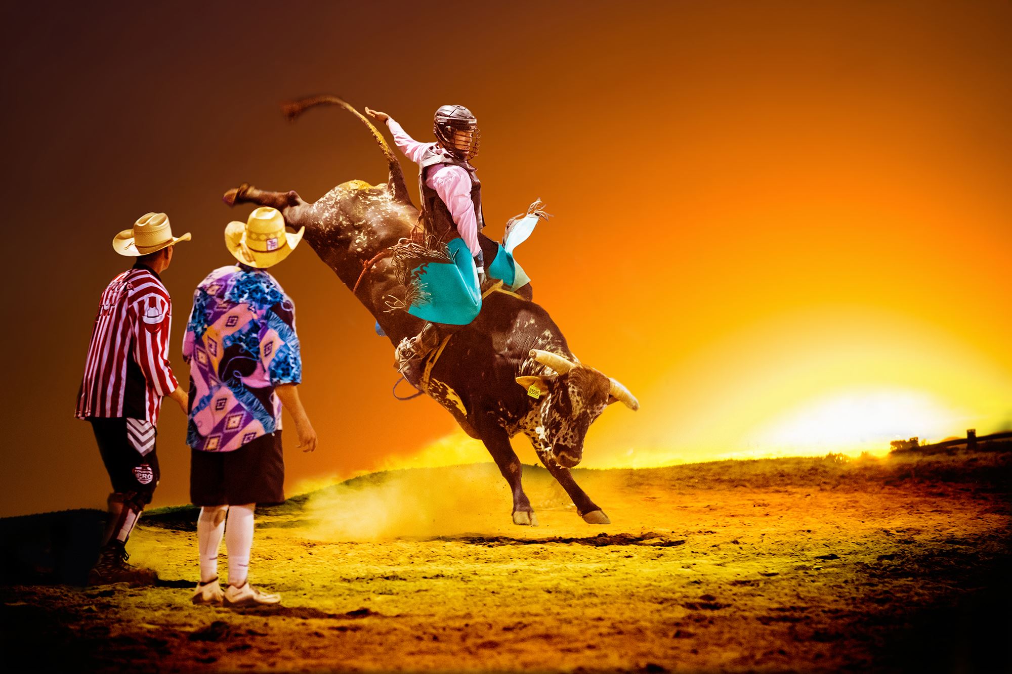 Mesa County Fair