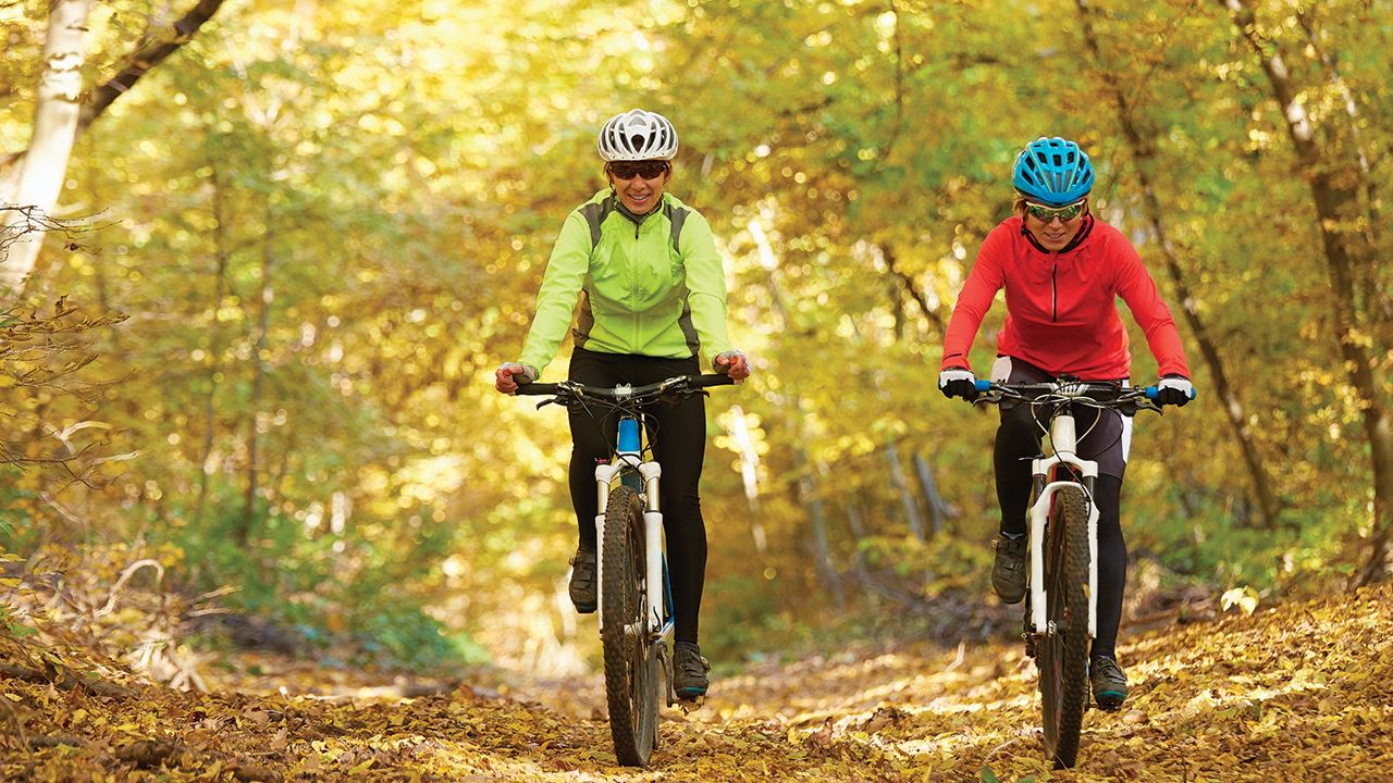 Garland Sports Facility Guide