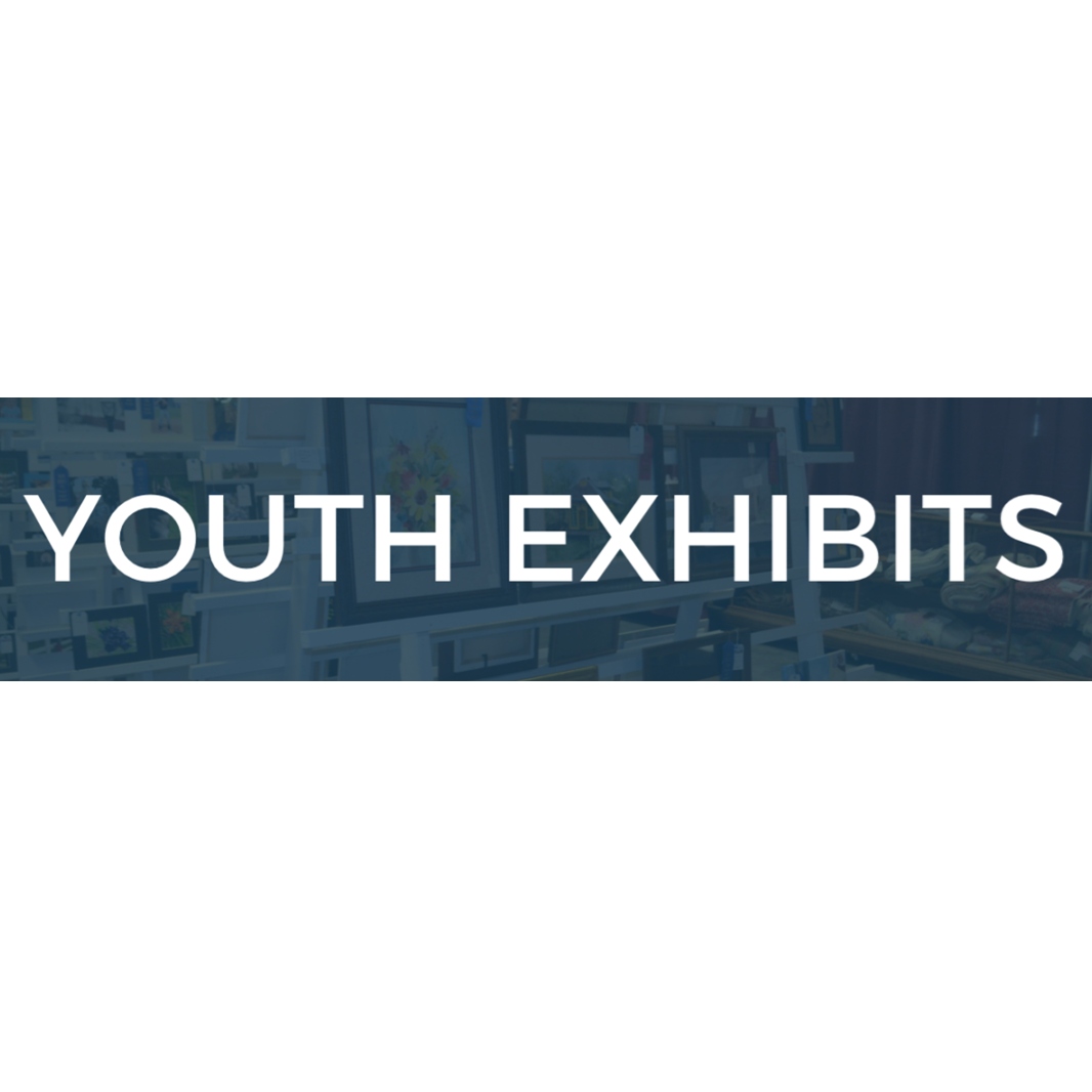 Youth Exhibits