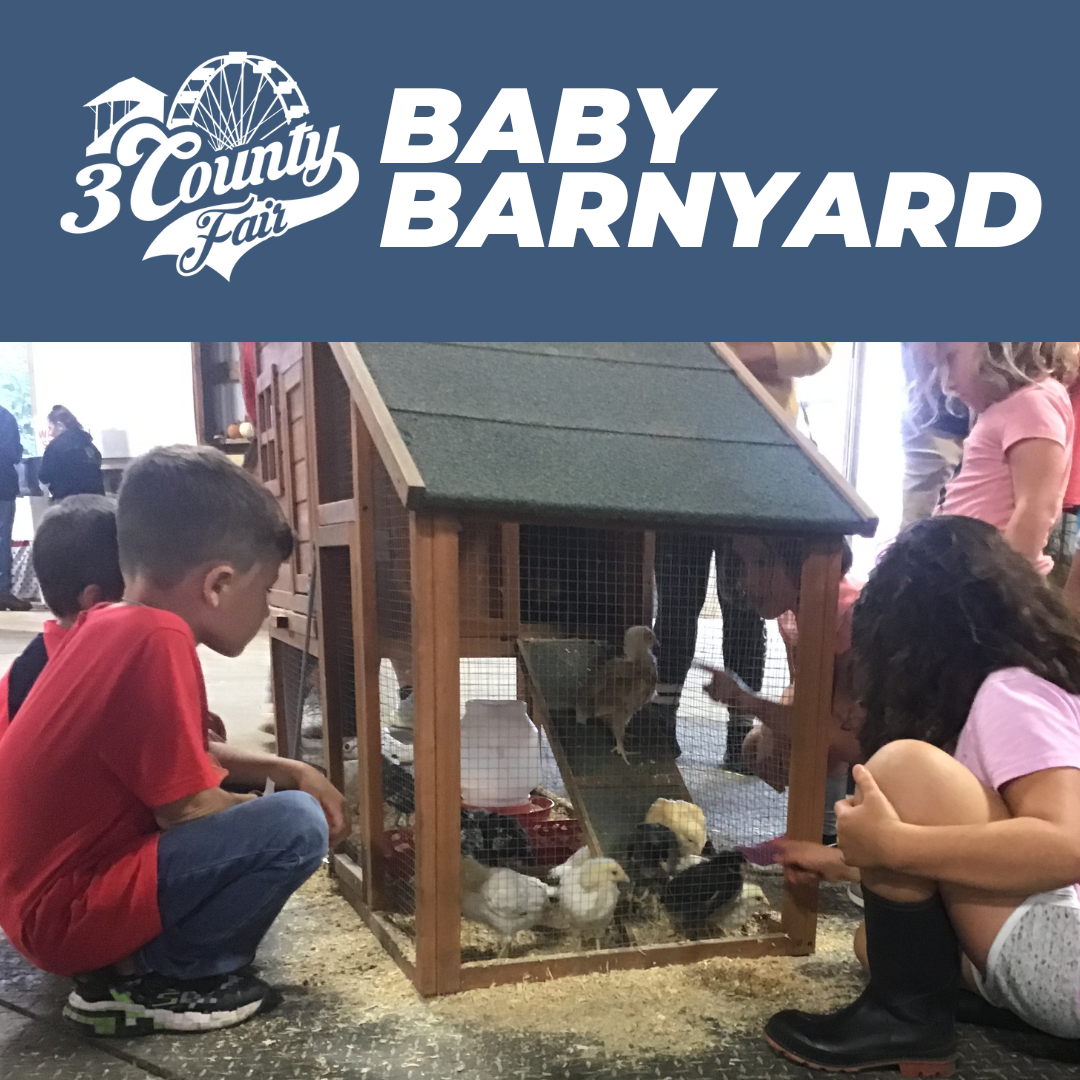 Baby Barnyard