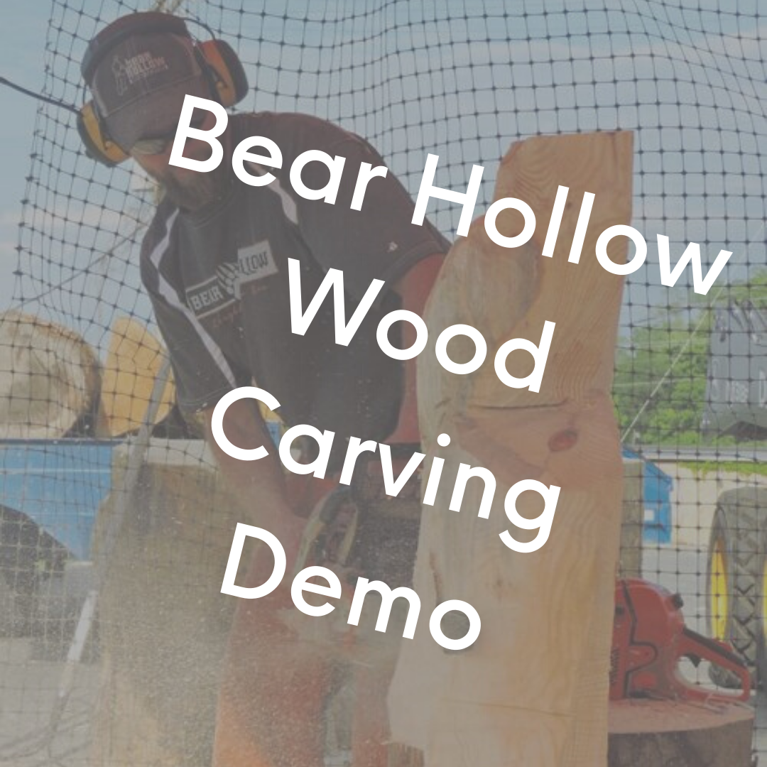 Bear Hollow Wood Carving Demo