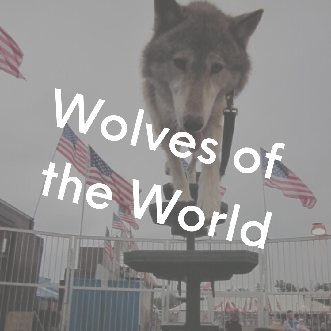 Wolves of the World