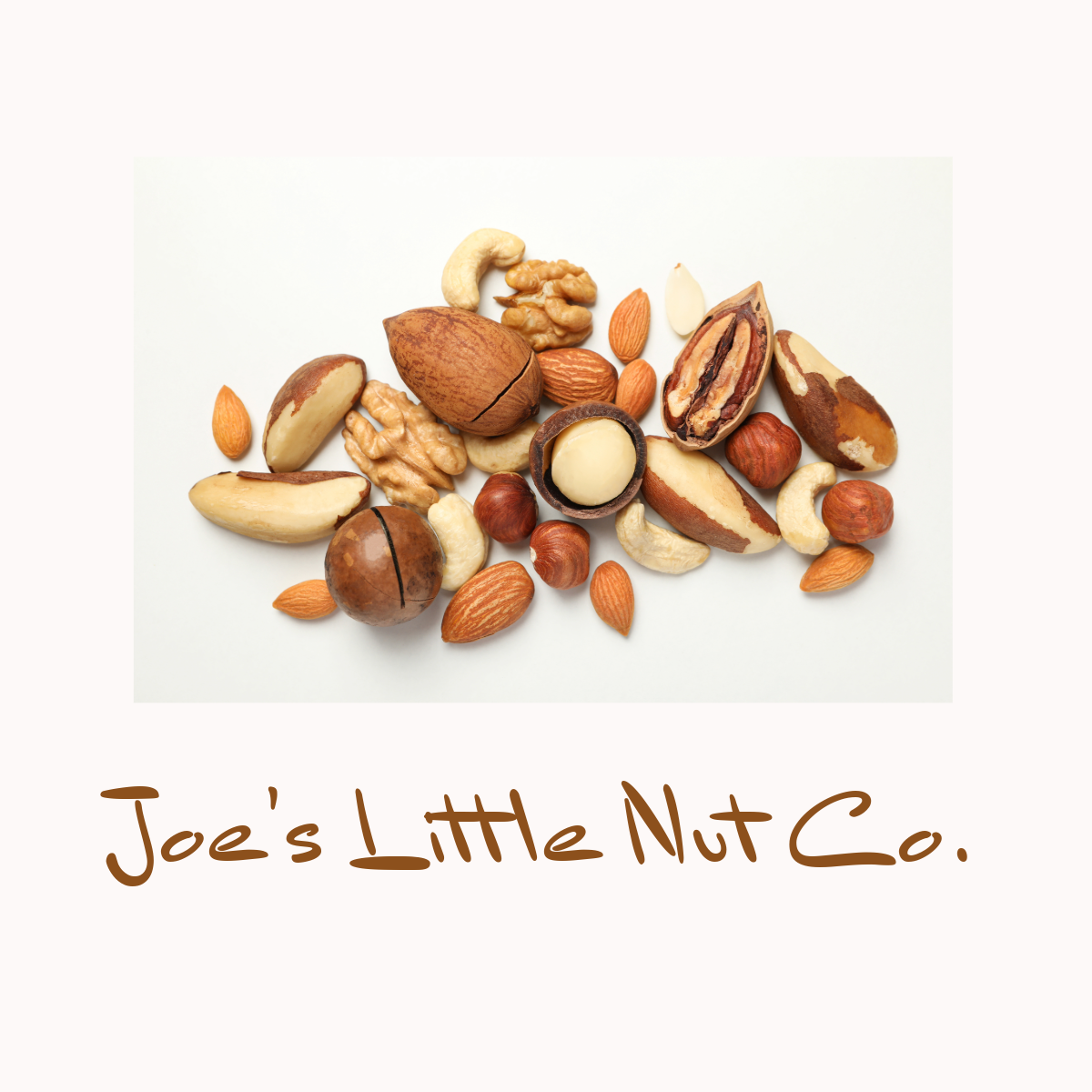 Joe's Little Nut Company