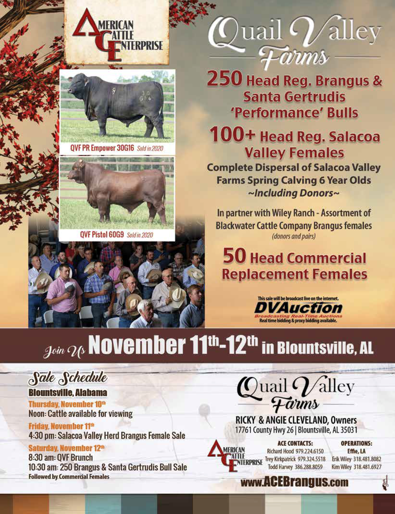Quail Valley Farms Performance Bull and Registered Female Sale
