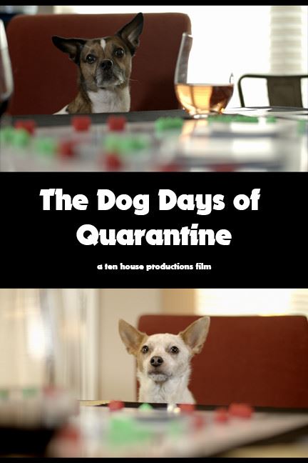 The Dog Days of Quarantine
