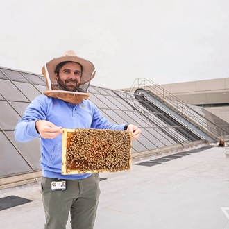 III. Sustainable Practices in Beekeeping for Social Responsibility