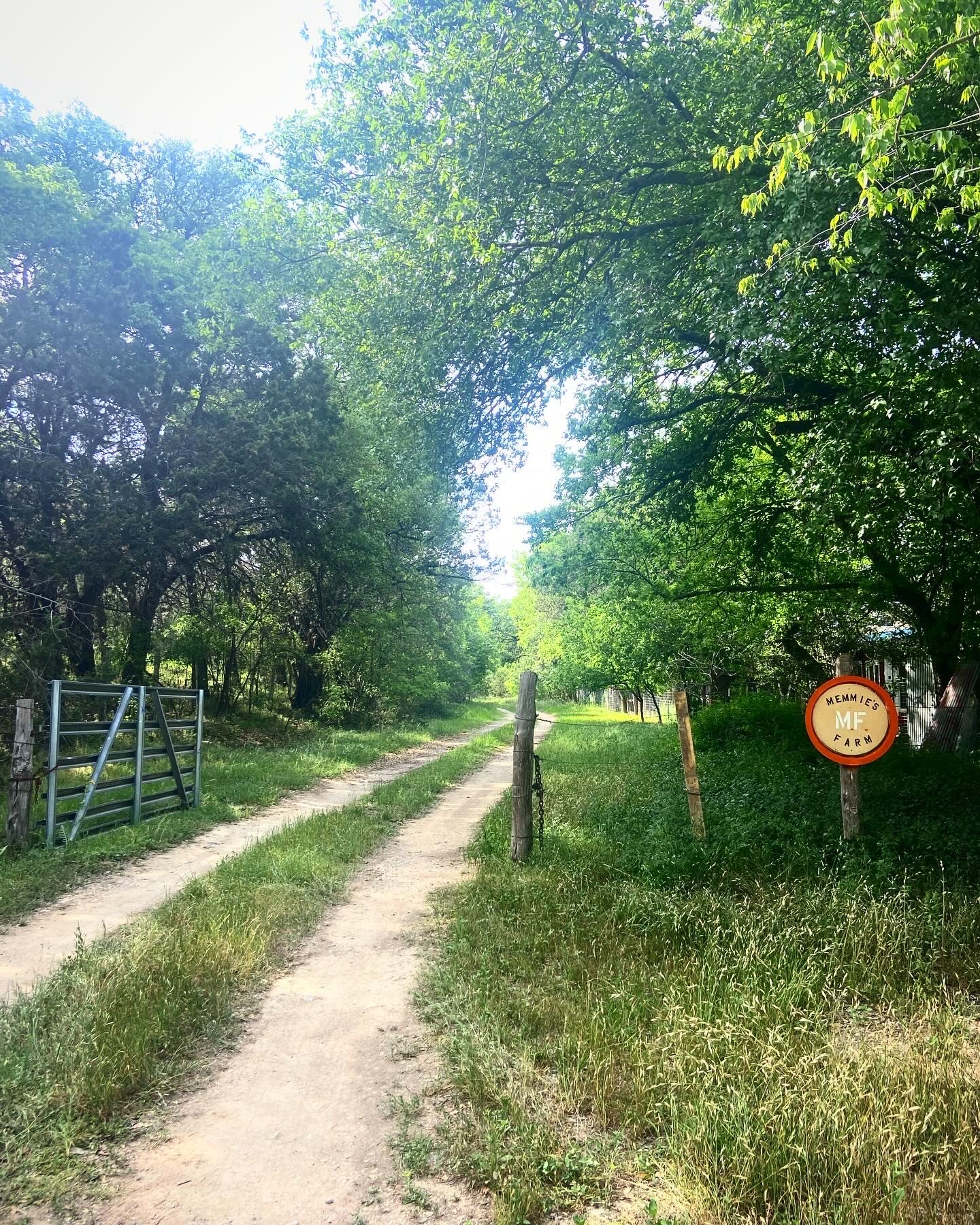 The Ultimate Winston Salem Itinerary: Skip The Tourist Clichés - 6sgdzr3