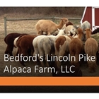 Bedford's Lincoln Pike Alpaca Farm, LLC
