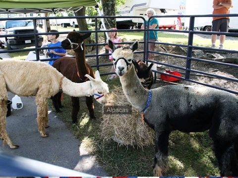 2013 Bedford County Fair Highlights