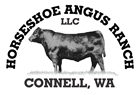 Horseshoe angus ranch logo 