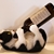 Black and White Cat Bottle Holder