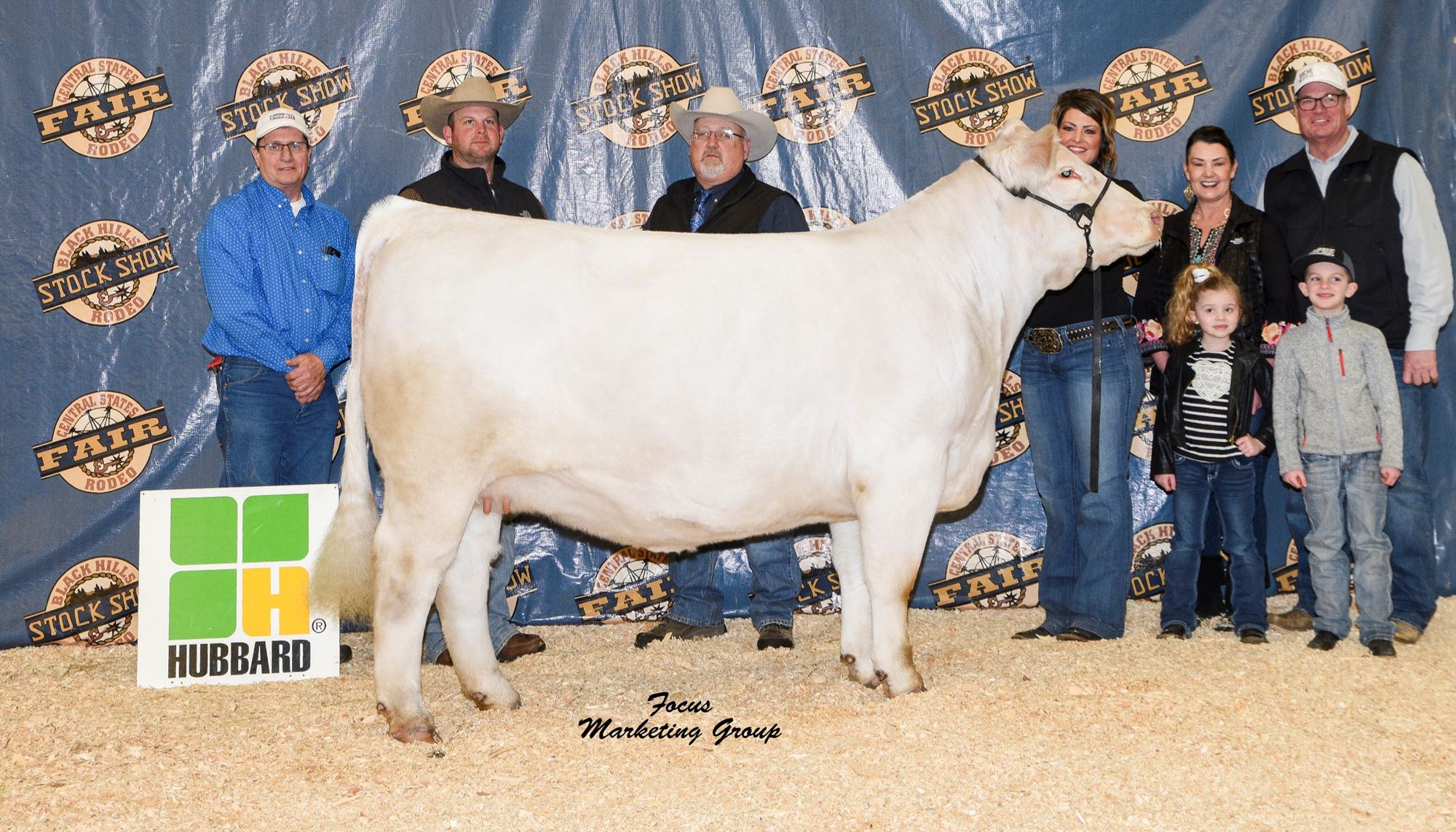 Charolais Show And Sale charolais-show-and-sale