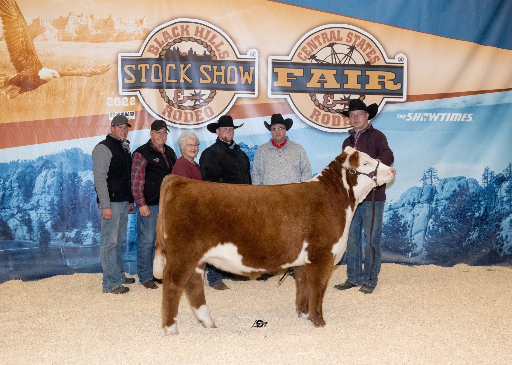 Hereford Show And Sale