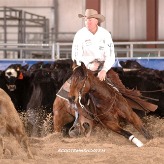 Equine Events Set the Stage for 2015 Black Hills Stock Show®