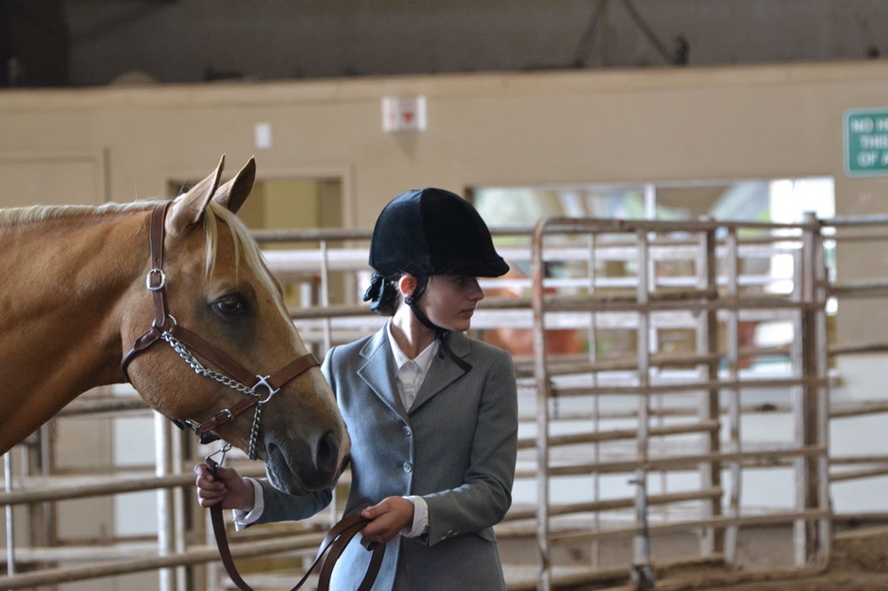 4-H exhibitor showing her horse in a showmanship class
