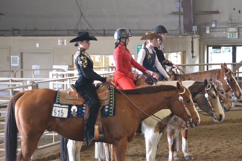 Three 4-H equestrians waiting to do a horsemanship pattern