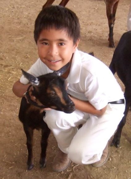 Young 4-H boy hugging his black and tan dairy goat