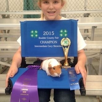4-H youth and her tan and white 2015 champion Cavy