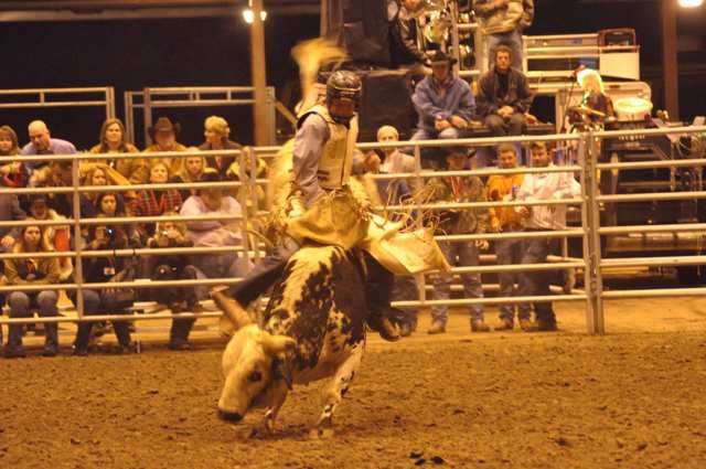 Wikend Bull Warriors Weekend Bull Riding - Red, White, and Bulls