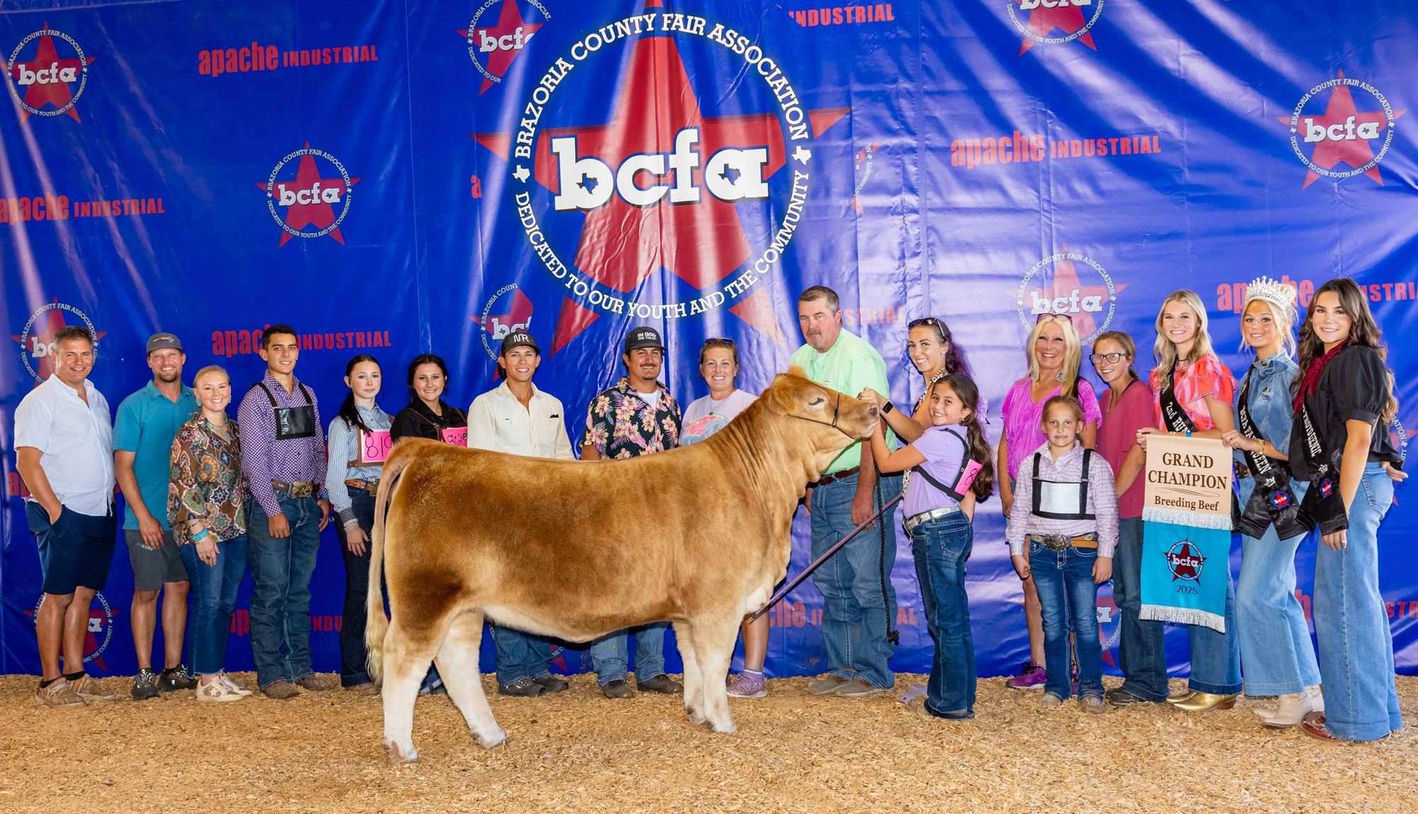 Breeding Beef flyer