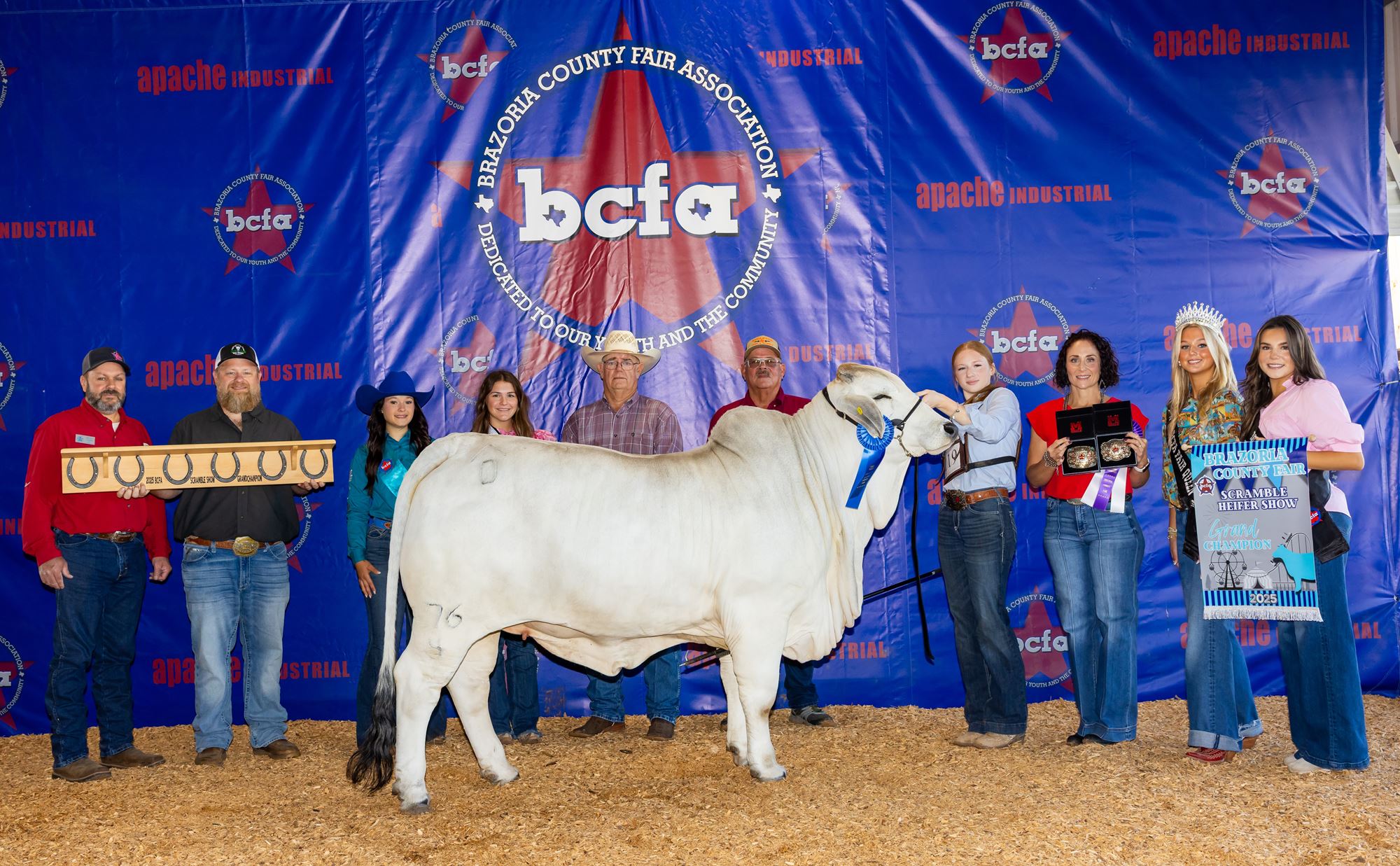Scramble Heifer flyer
