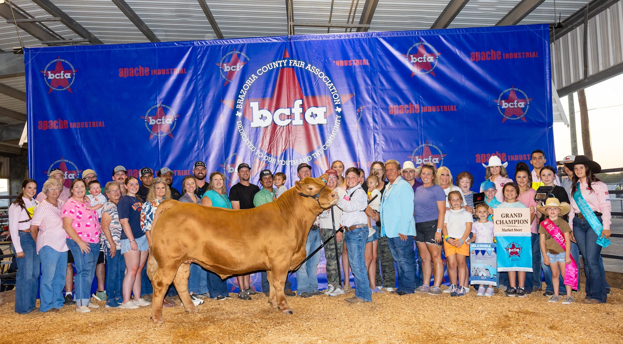 Market Steer flyer