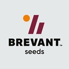 Brevant Seeds