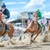 2024 General Admission Horse Racing - Sunday, May 12