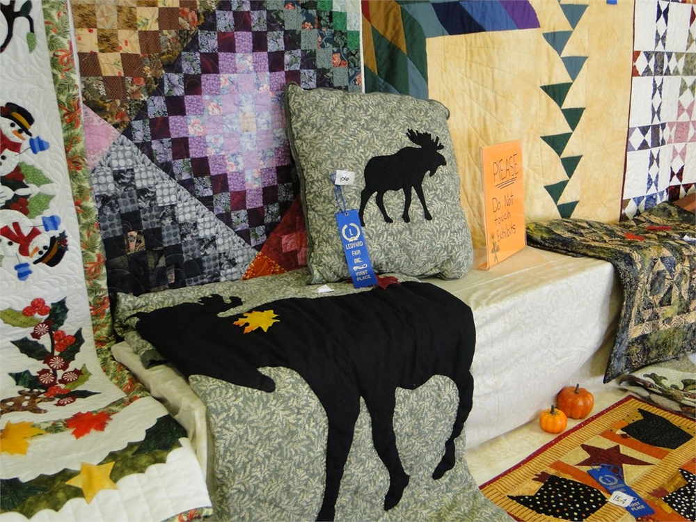 Photo Gallery Detail Ledyard Fair 2022