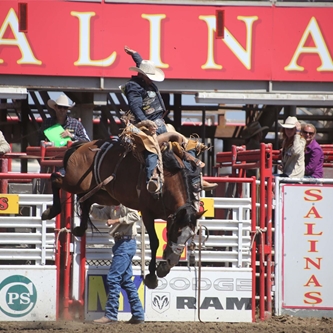 California Rodeo Salinas Honored as a 2017 Champion of Economic Impact in Sports Tourism 