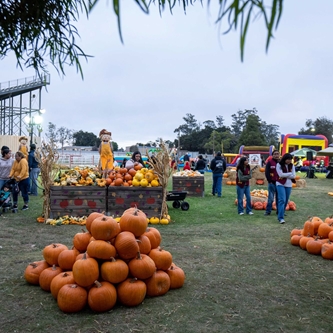 THE FALL ROUND UP FESTIVAL OFFERS FAMILY FUN   