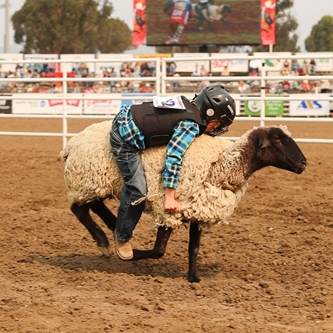 MUTTON BUSTING ENTRIES BEING ACCEPTED FOR CALIFORNIA RODEO IN JULY 