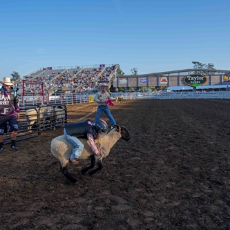 MUTTON BUSTING ENTRIES ARE BEING ACCEPTED UNTIL JUNE 6TH FOR THE CALIFORNIA RODEO SALINAS IN JULY