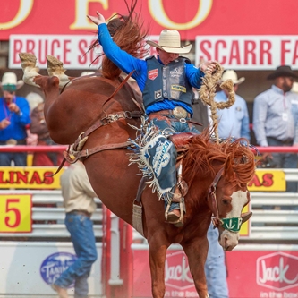 CALIFORNIA RODEO & BIG WEEK BULL RIDING TICKETS ON SALE MAY 5TH