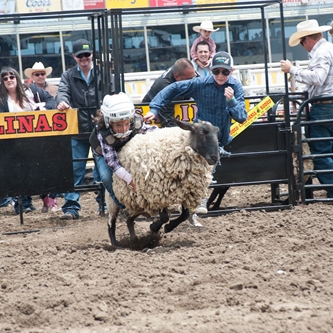 California Rodeo is taking Entries for Mutton Busting Event 
