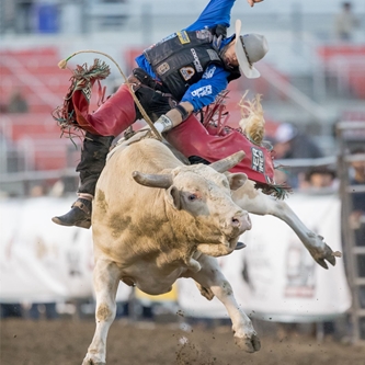 7 OF TOP 25 PROFESSIONAL BULL RIDERS TO COMPETE IN SALINAS 