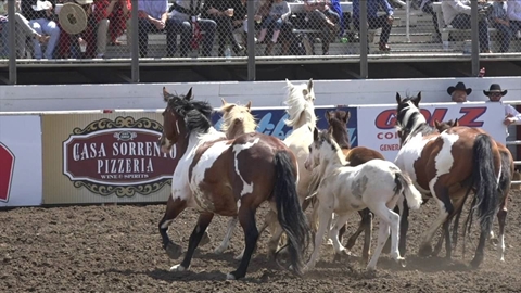 2016 California Rodeo Salinas Highlights
