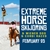Horse Skijoring <br>Mezzanine Indoor Boxes