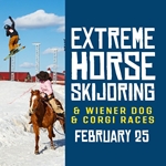Extreme Horse Skijoring