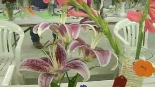 2008 Cass County Fair Art, Photo, Horticulture, Home Ec and Quilt Shows