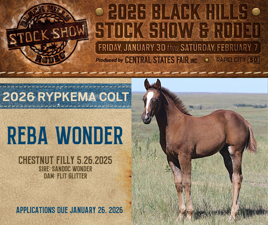 David Rypkema Rypkema Memorial Quarter Horse Award
