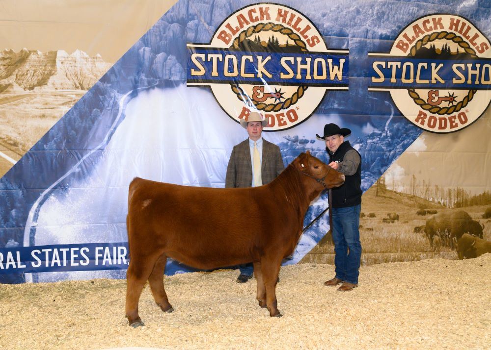 Livestock Shows & Sales