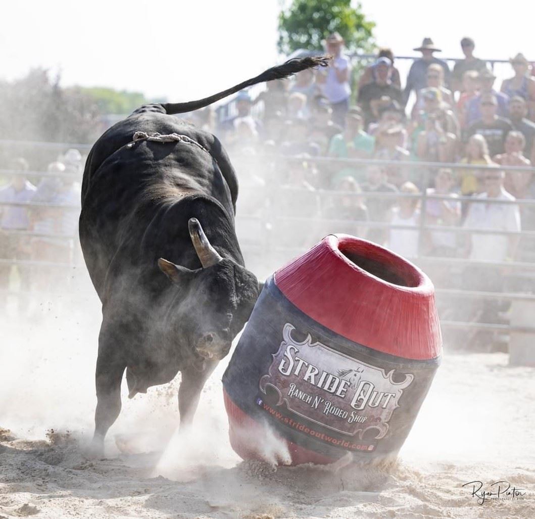 “Bulls, Broncs -N- Barrels”, Rice Rodeo Co.