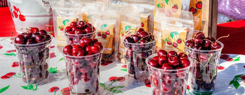 National Cherry Festival Meijer Festival Of Races 2022