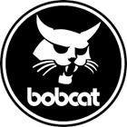 Bobcat of the Big Horn Basin