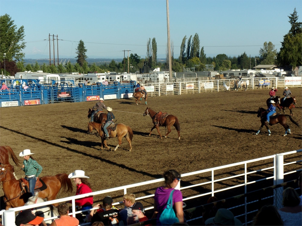 Coffs Rodeo Photo Gallery Detail
