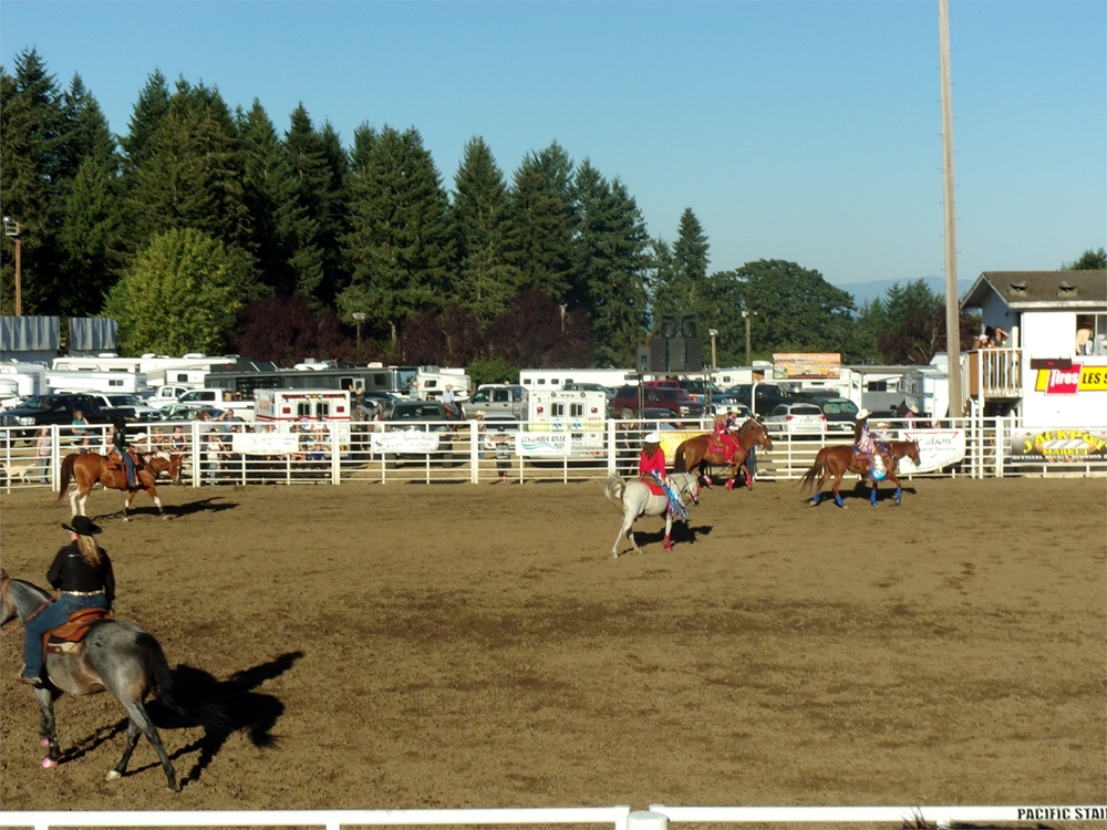 Coffs Rodeo Photo Gallery Detail