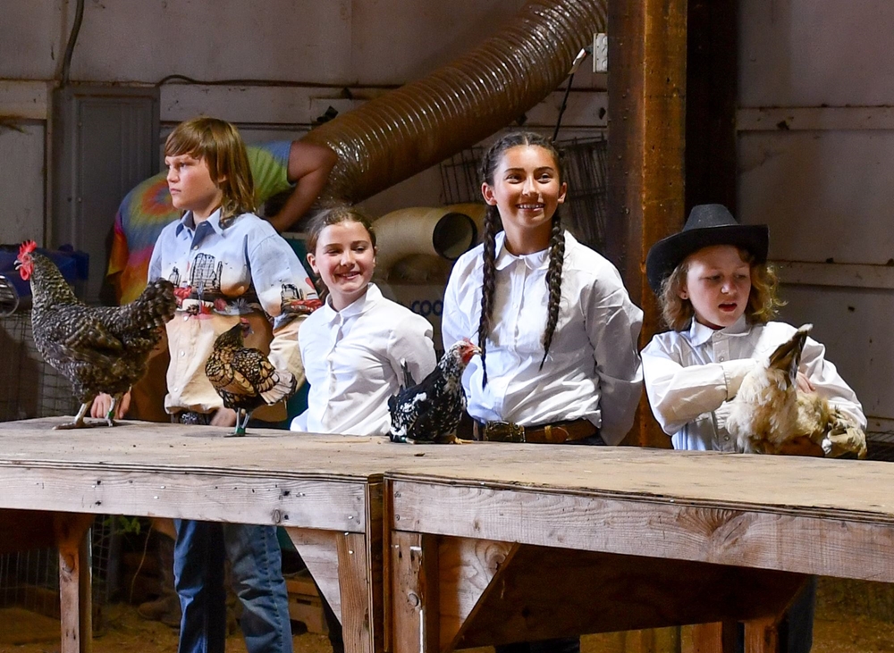 Photo Gallery Detail